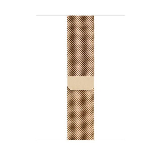Apple Watch 38 / 40 / 41 mm Hoco WA03 simple beauty milanez curea auriu