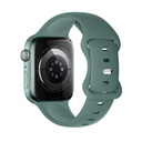 Apple Watch 38mm / Watch 40mm / Watch 41mm HOCO WA15 solid szíj fenyőzöld