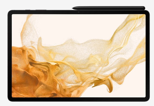 Samsung X806 Galaxy Tab S8+ 5G (Gri)